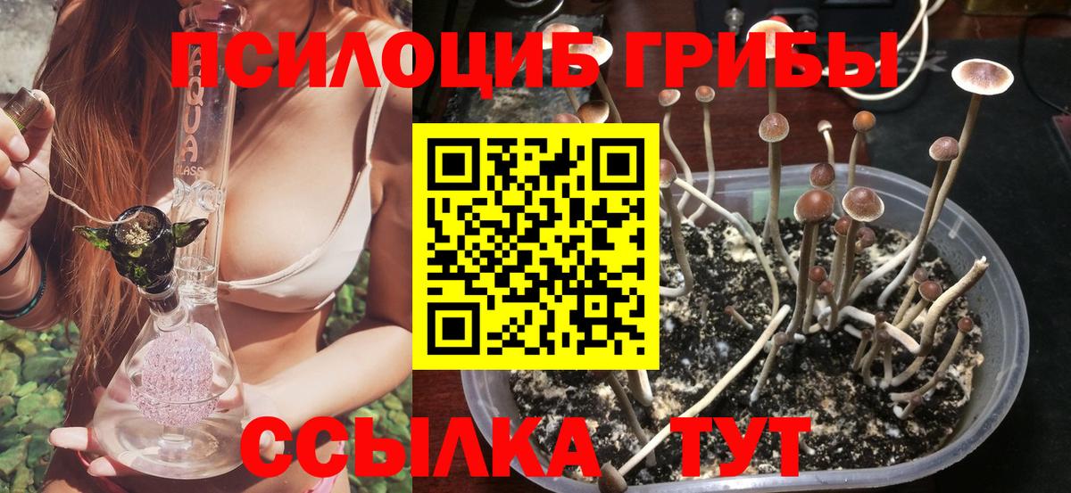  COCAIN Норильск