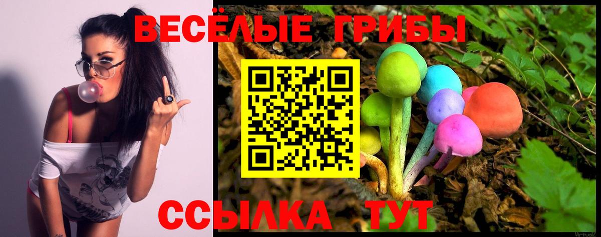 Псилоцибиновые грибы MAGIC MUSHROOMS  Псилоцибиновые грибы прущие грибы  Вход с VPN  Норильск 