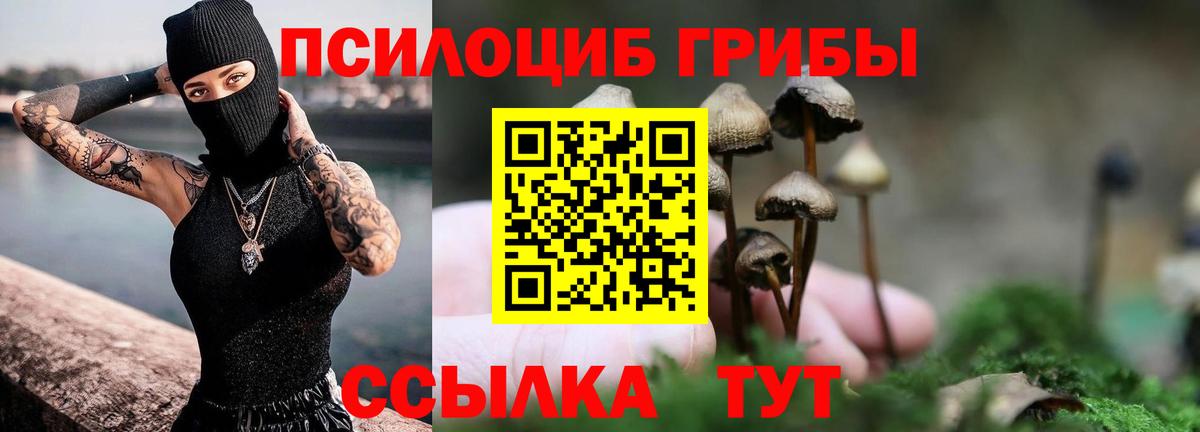 Псилоцибиновые грибы GOLDEN TEACHER Норильск
